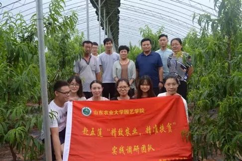 香港資料內部資料精準,實踐調查說明_TYN50.750藝術版