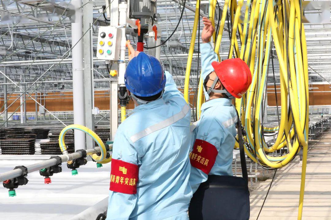 草海機場最新動態(tài)揭秘，建設(shè)進(jìn)展、航班信息及未來展望