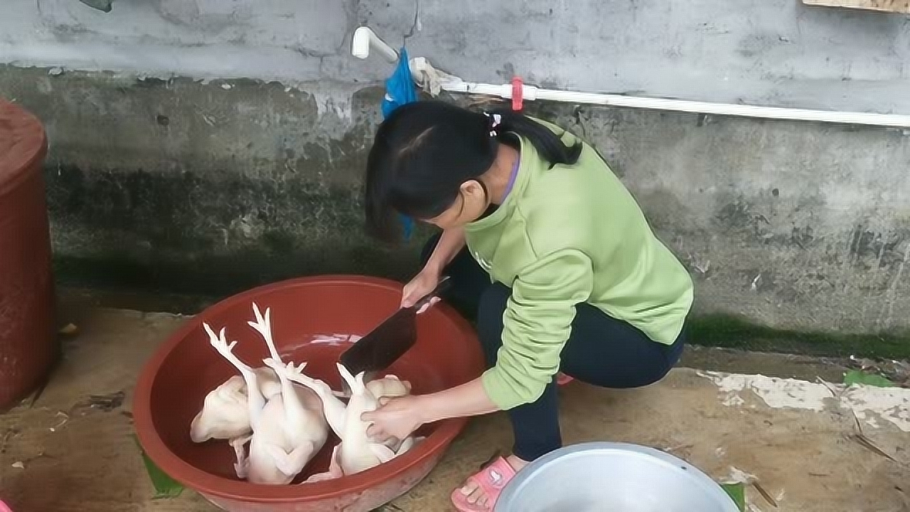 關(guān)于阿梅殺雞視頻的理性分析與網(wǎng)絡(luò)倫理道德探討，警惕涉黃內(nèi)容侵蝕社會(huì)倫理底線。