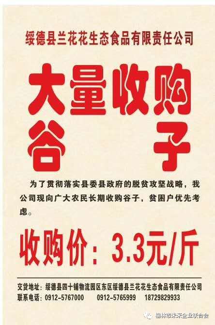 淄川最新財(cái)務(wù)招聘，職業(yè)發(fā)展的理想選擇
