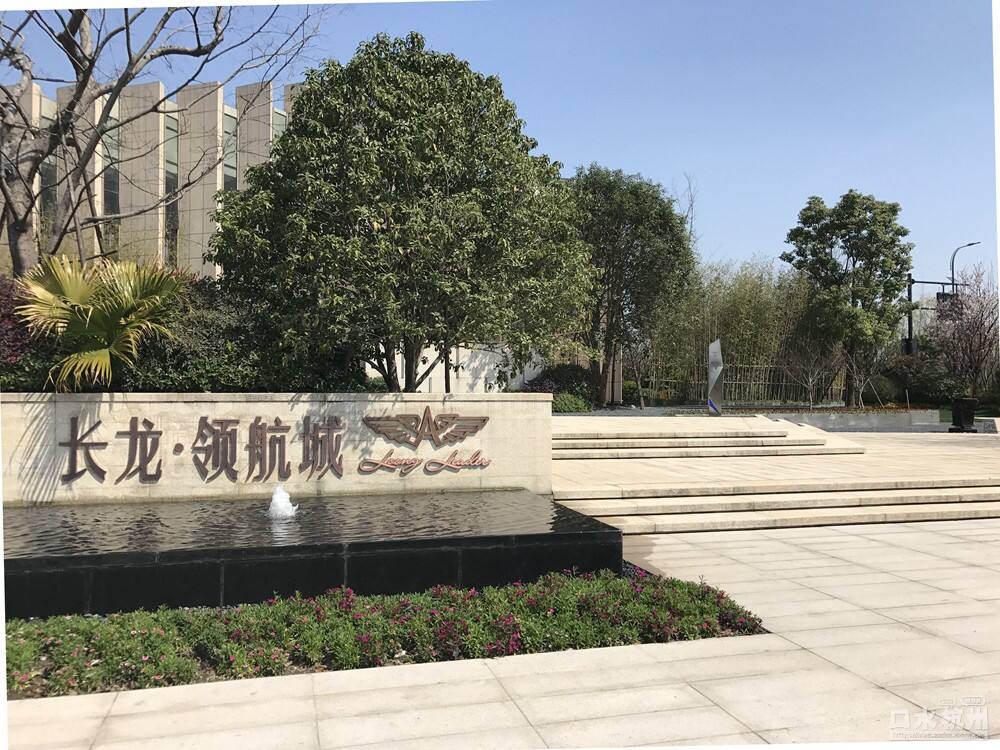 長(zhǎng)龍領(lǐng)航最新動(dòng)態(tài)，駕馭變革，開(kāi)啟知識(shí)海洋的勵(lì)志之旅