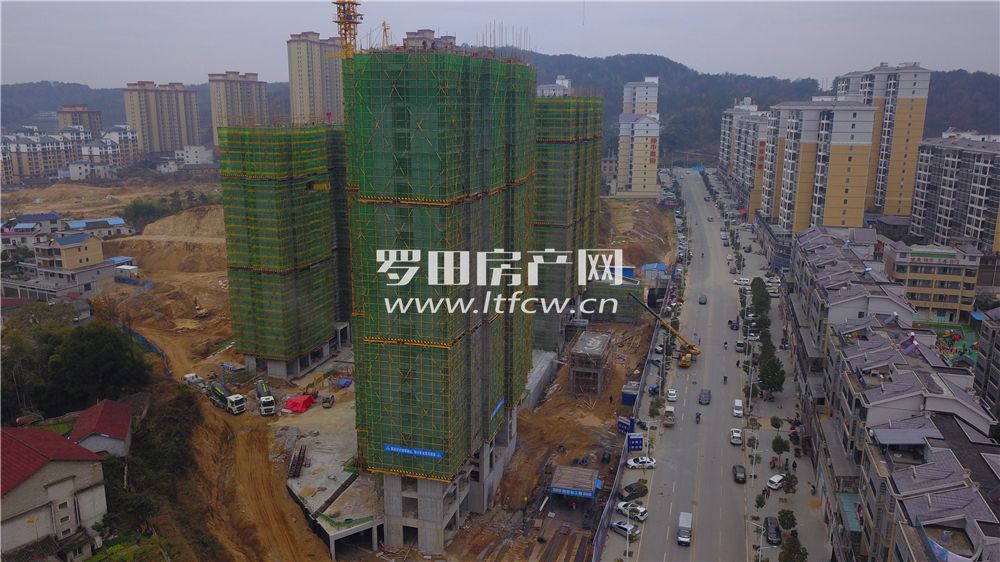 羅田最新房價揭秘，洞悉市場動態(tài)，掌握房價走勢！