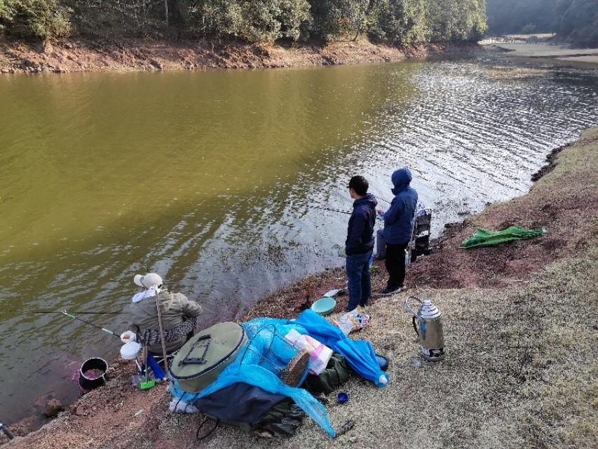 最新水庫(kù)釣魚視頻，探索釣魚樂(lè)趣與技巧全攻略