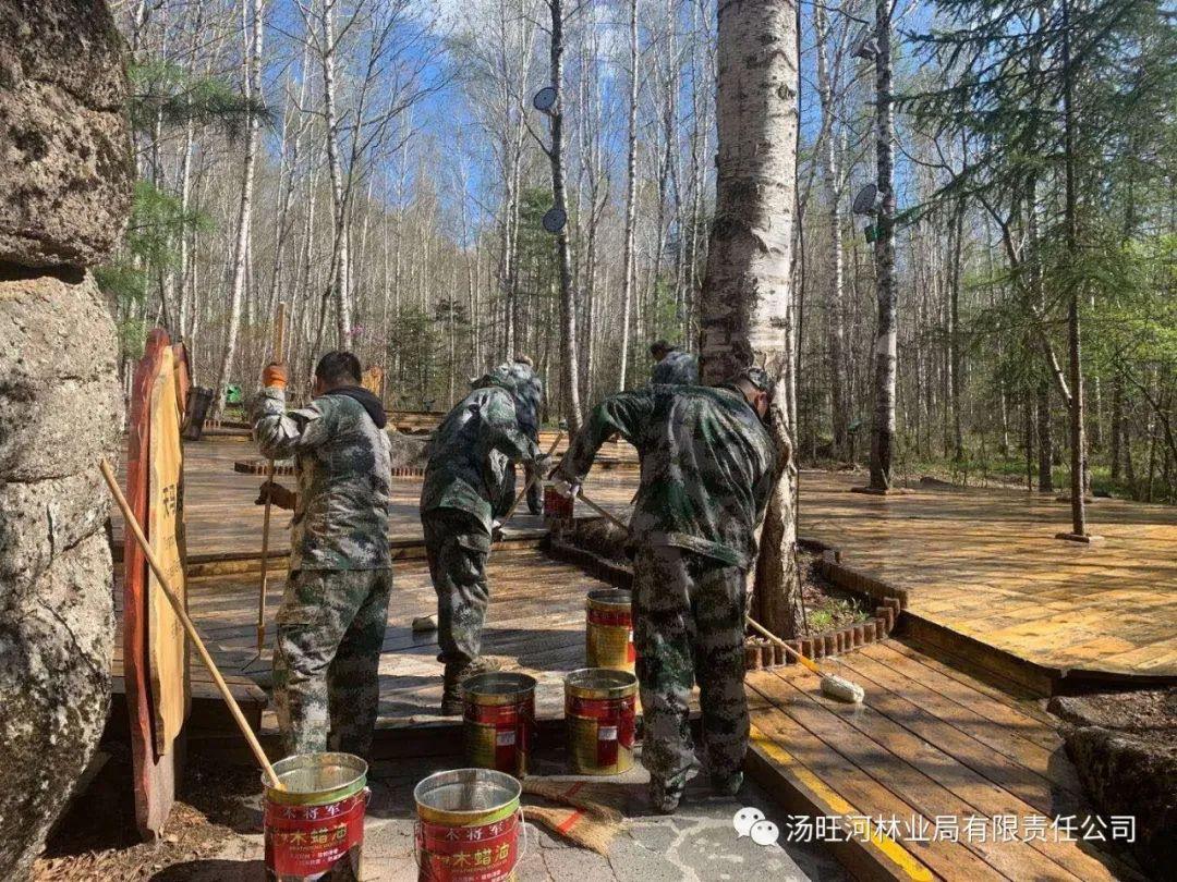 探尋神秘寶石世界的獨(dú)特魅力，最新奇石新聞報(bào)道