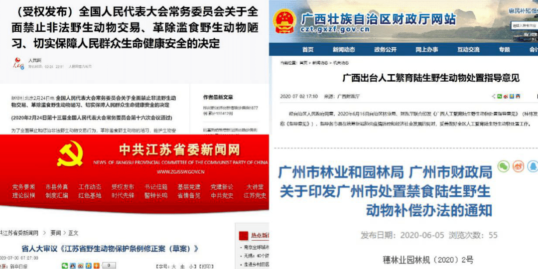 管家婆精準(zhǔn)期選一肖福利活動,實(shí)際調(diào)研解析_BDE27.204跨界版