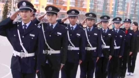 寧國最新保安招聘及其探討，行業(yè)現(xiàn)狀與發(fā)展趨勢分析