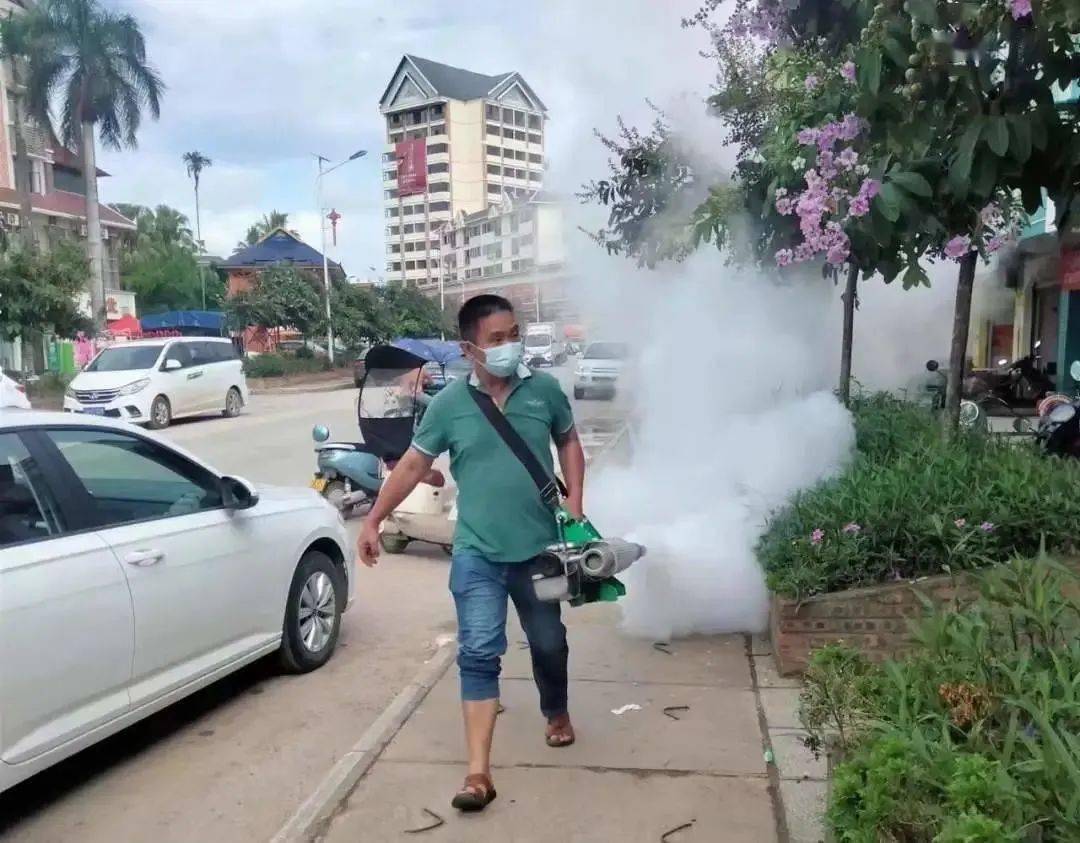 景洪登革熱最新疫情動(dòng)態(tài)，挑戰(zhàn)與自信之光的博弈