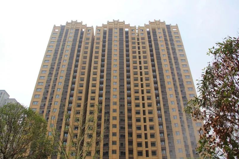 紫荊城邦最新動(dòng)態(tài)，揭開(kāi)未來(lái)生活新篇章的序幕