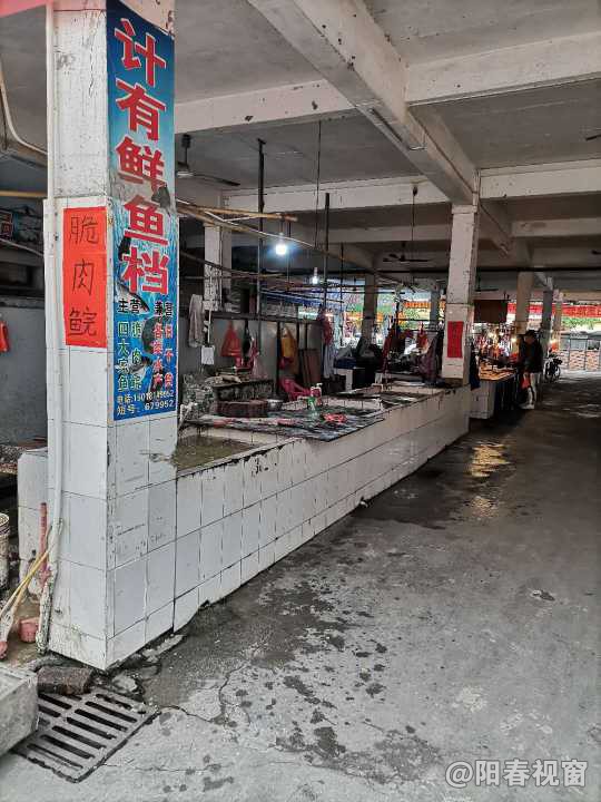 最新魚(yú)檔轉(zhuǎn)讓，把握商機(jī)，輕松開(kāi)啟水產(chǎn)養(yǎng)殖事業(yè)之路