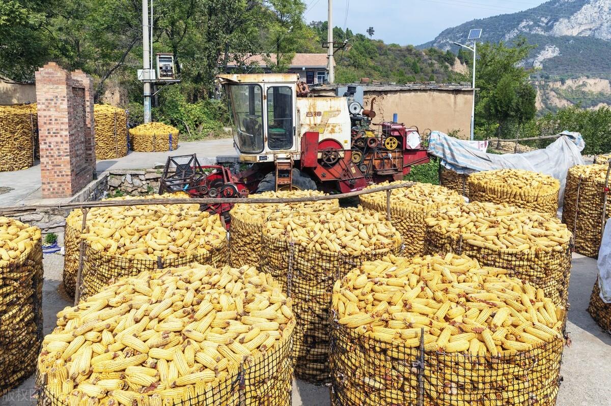 燈飾燈具 第325頁(yè)