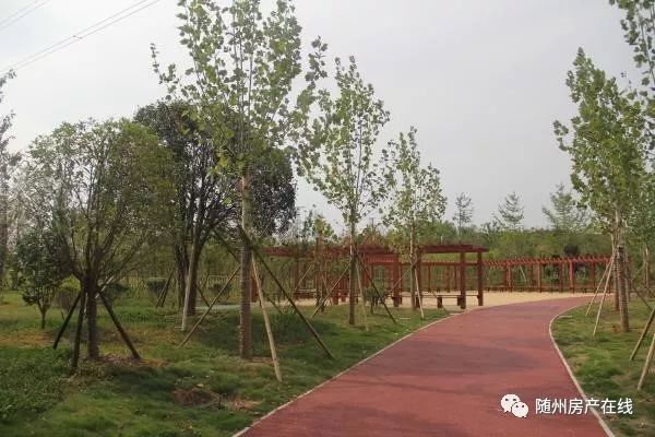 隨州桃園公園最新動態(tài)揭秘，驚喜連連，不容錯過！