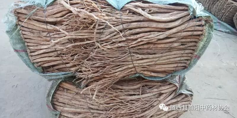 渭源黨參干貨最新價格及獲取指南，了解黨參干貨價格走勢與行情分析