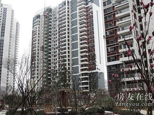 綠地長(zhǎng)島公寓最新價(jià)格揭秘，小巷深處的隱藏寶藏