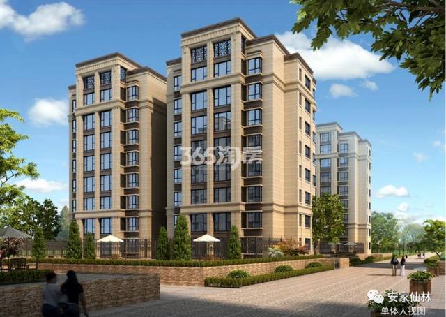 銀城東岳府最新動(dòng)態(tài)分析揭秘，最新消息與進(jìn)展