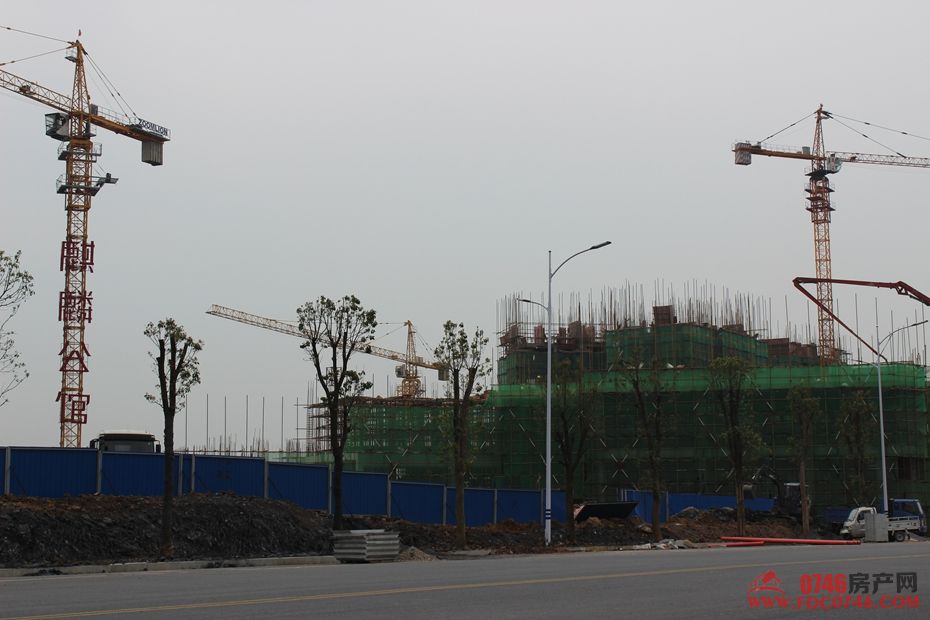 池州麒麟公館最新動態(tài)揭秘，最新進(jìn)展與資訊更新