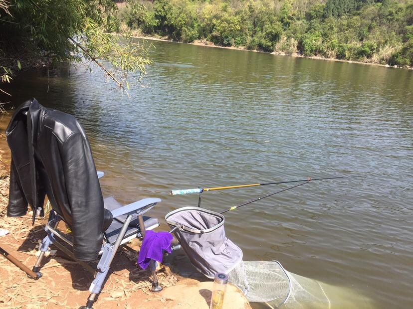 山門寺水庫釣魚最新指南，垂釣攻略與技巧分享