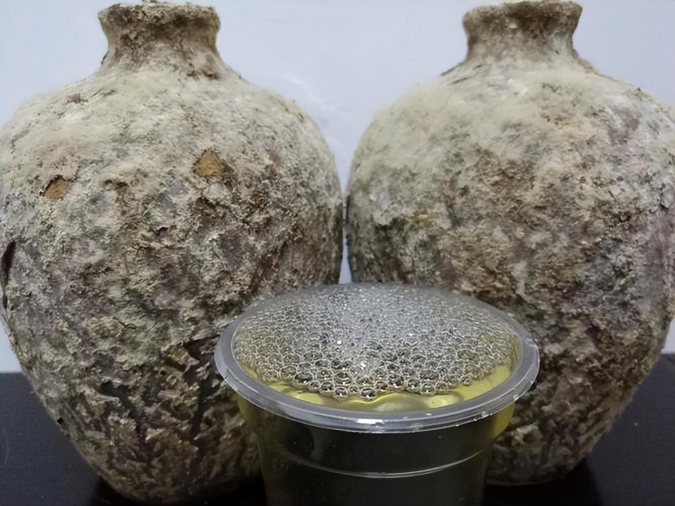 仁懷房屋出售最新信息，科技與家居融合，未來家居新體驗重磅推出