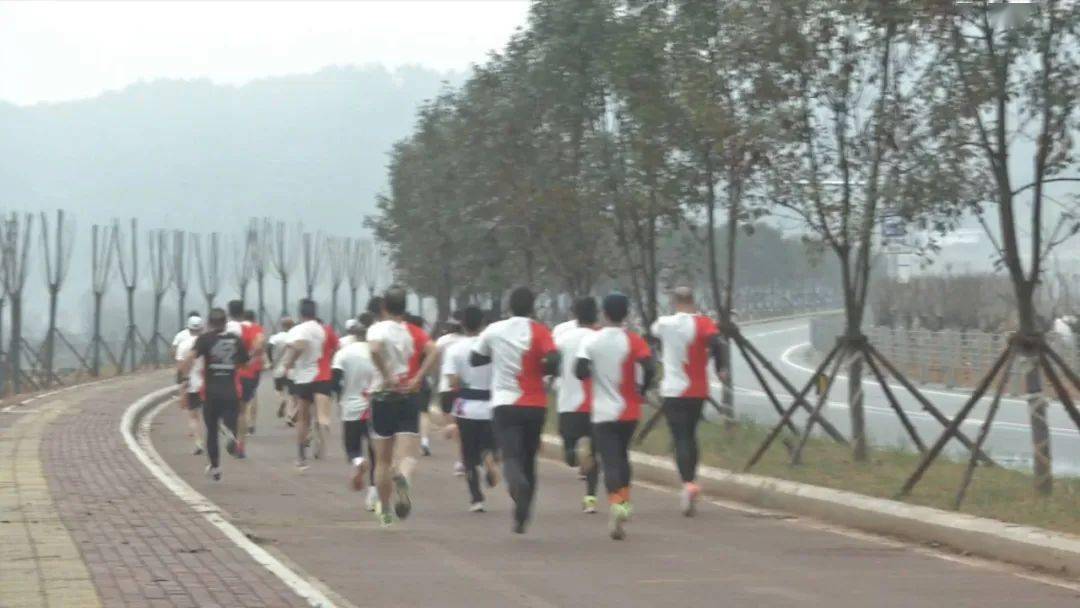 古田環(huán)湖路最新動(dòng)態(tài)揭秘，時(shí)代脈搏與城市發(fā)展的融合之路