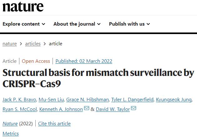 新澳開獎結(jié)果資料查詢,安全設(shè)計(jì)解析說明法_PIA47.734觸感版