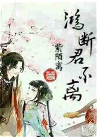 沈南汐最新小說，知識的力量，成就夢想的翅膀之路