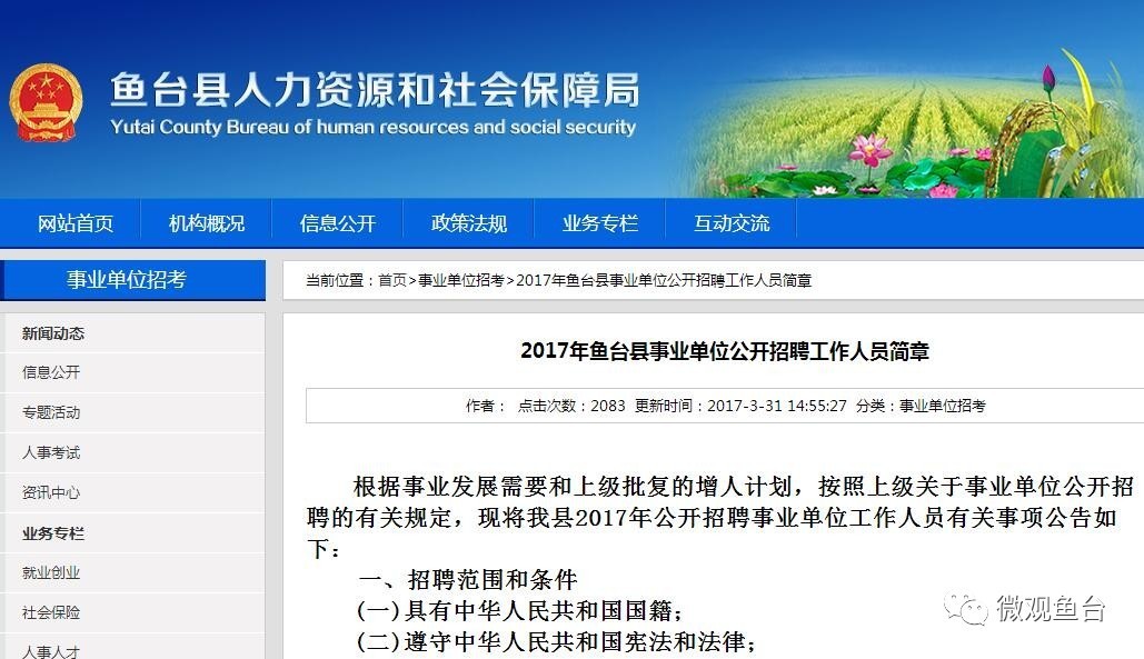 魚臺(tái)最新招聘信息大全，求職步驟指南與招聘信息更新速遞