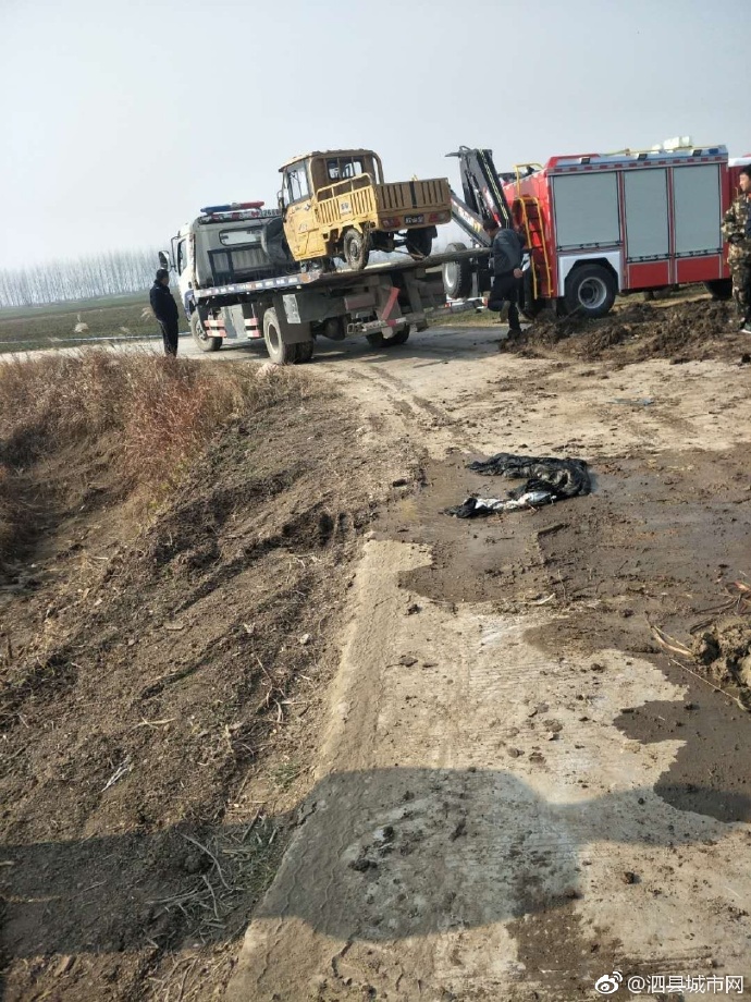 泗縣車禍悲劇，警醒與深思背后的最新新聞報(bào)道