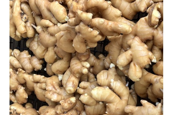 昌邑生姜市場最新價(jià)格指南，全面了解生姜市場行情與價(jià)格動態(tài)
