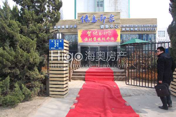 青島大洋花園最新動(dòng)態(tài)，科技重塑未來花園的極致體驗(yàn)