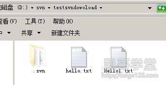 Jav最新網(wǎng)址探索，小巷深處的獨(dú)特風(fēng)味之旅