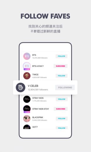 VAPP最新版下載，觀點(diǎn)論述與獲取渠道