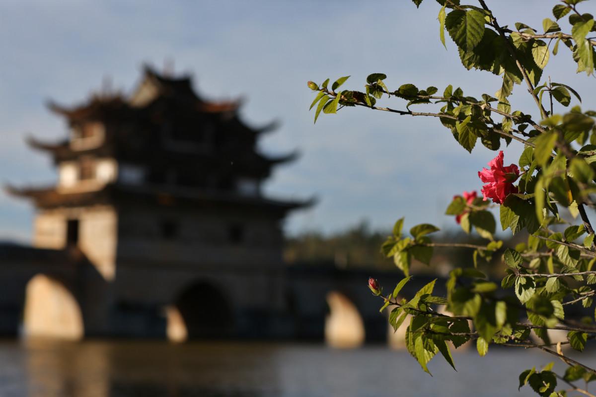 大冰最新力作，智能生活新紀(jì)元——科技與生活的完美融合