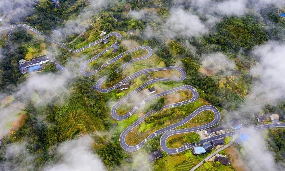 奉節(jié)云霧鄉(xiāng)的最新動(dòng)態(tài)與溫馨日常，云霧中的快樂時(shí)光