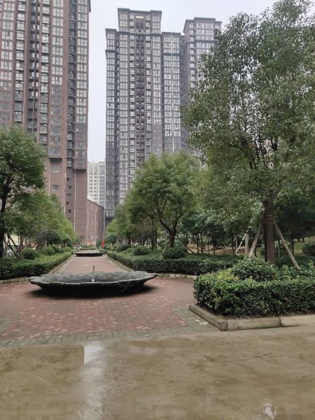 南陽盛世御苑最新動態(tài)揭秘，全面指南與步驟詳解