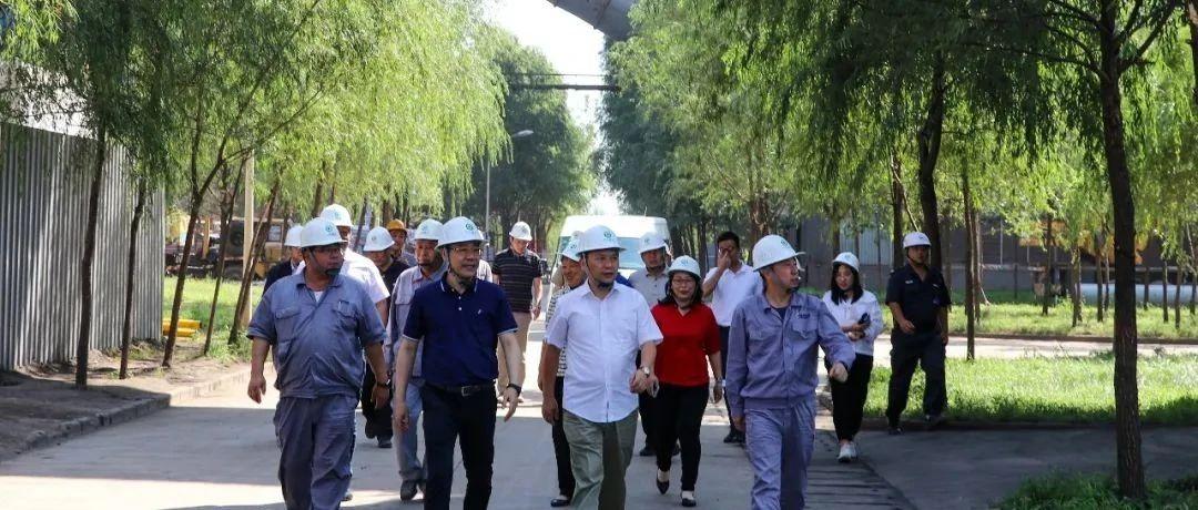 最新鍋爐工招聘信息揭秘，鍋爐工的溫馨日常故事探索