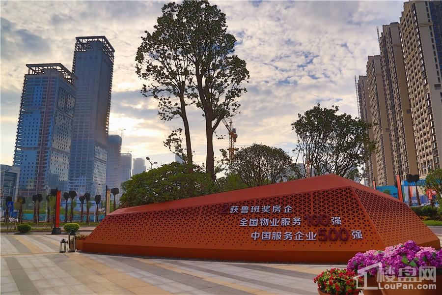 南寧彰泰城最新動態(tài)，解讀其最新發(fā)展及影響的一種觀點分析