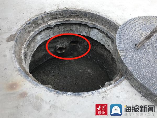 福建臺(tái)幫幫團(tuán)最新一期揭秘，小巷深處的隱藏美食瑰寶