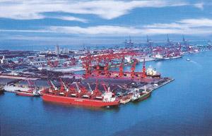 東疆二島最新消息及步驟指南全解析