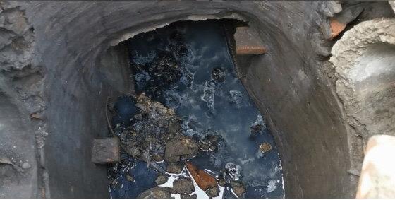 遂寧市電子廠最新招聘，與自然共舞，探尋內(nèi)心寧靜之旅