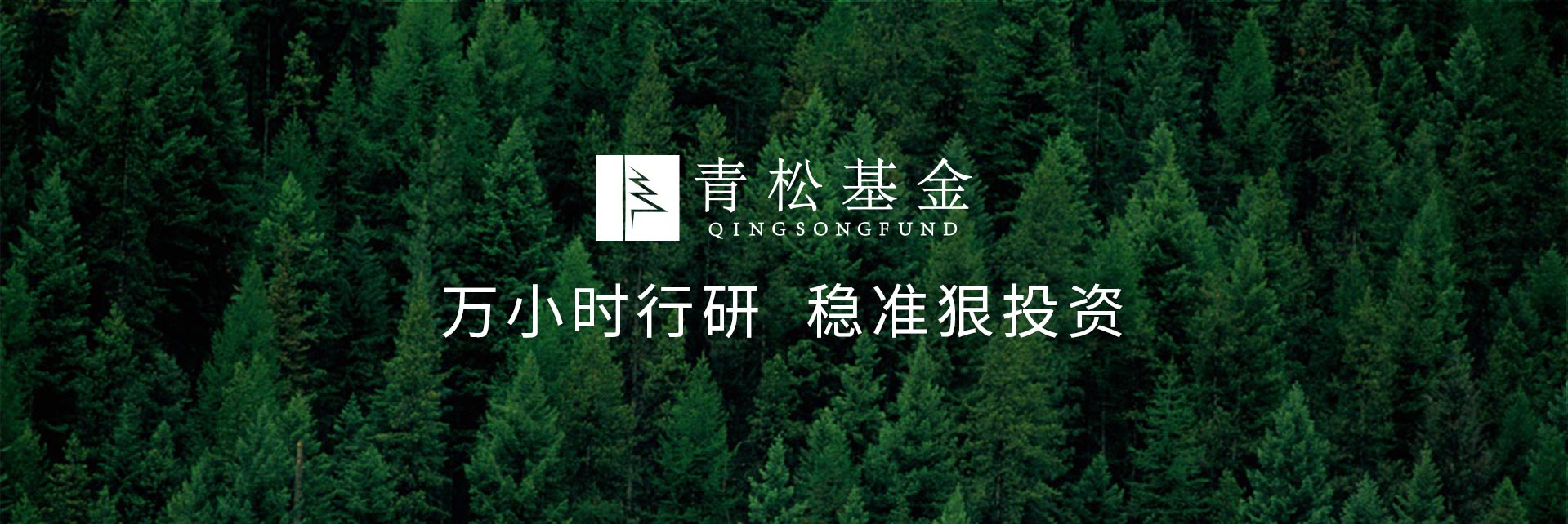 長(zhǎng)青樹眾籌最新動(dòng)態(tài)，背景、發(fā)展與時(shí)代地位探索