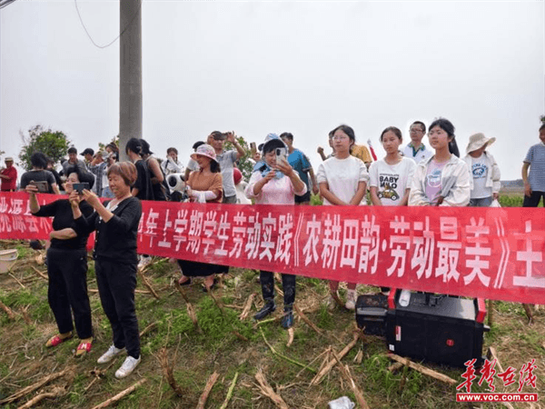 桃源木塘垸鄉(xiāng)新動(dòng)態(tài)，趣事連連，真摯友情綻放鄉(xiāng)間