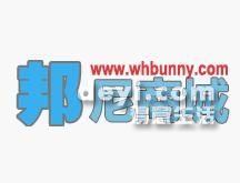 葫蘆島最新營業(yè)員招聘動態(tài)，背景分析與影響探討