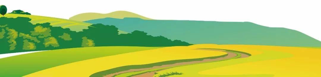 藍(lán)田縣未來(lái)藍(lán)圖，最新發(fā)展規(guī)劃揭秘