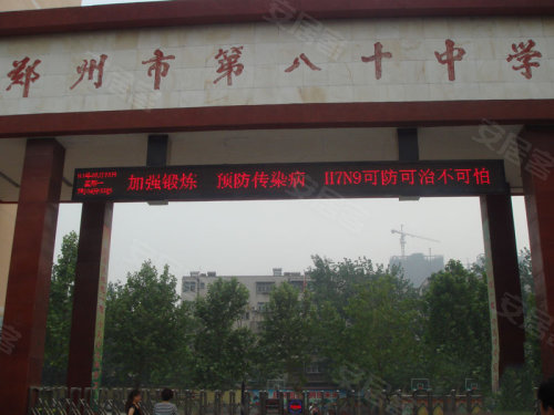 中原區(qū)九龍城最新動(dòng)態(tài)深度解析，最新進(jìn)展與觀點(diǎn)闡述