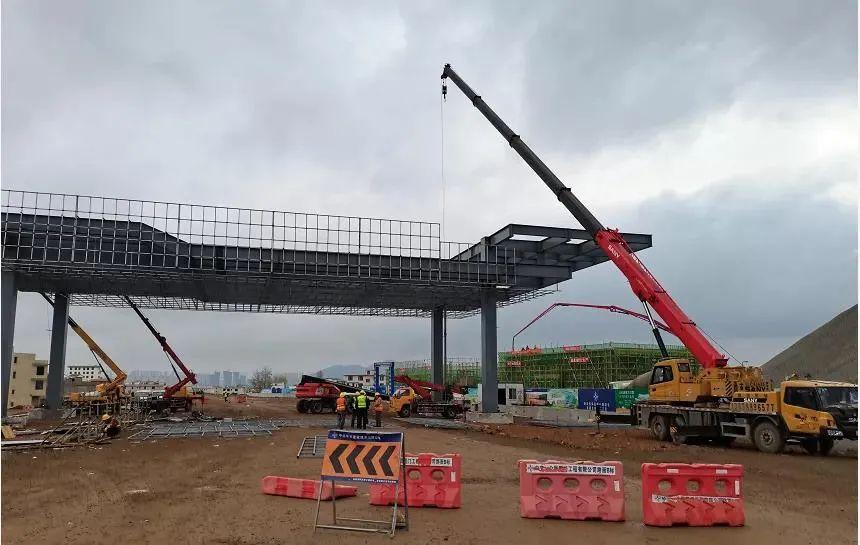 深度解析與探討，最新元龍劇情分析