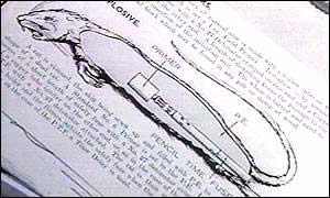 美國(guó)填尸最新進(jìn)展，高科技重塑生活，未來(lái)科技魅力體驗(yàn)