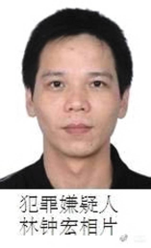 張宸案最新進(jìn)展，城市生活的溫馨日常關(guān)注