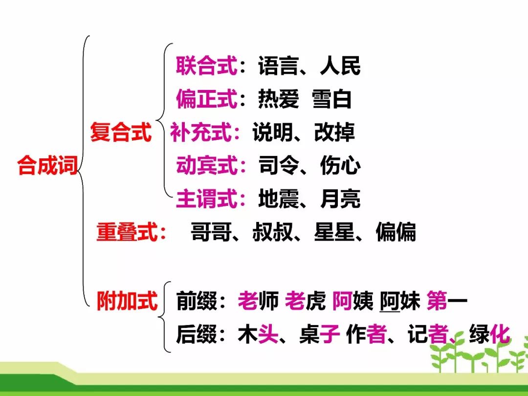 最新合成詞，語言發(fā)展的微觀視角探索