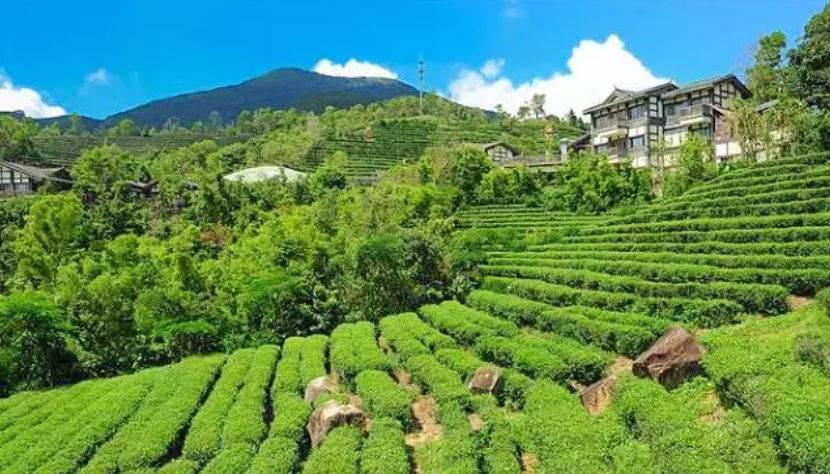 深圳驚喜活動(dòng)溫情之旅，日常中的特別瞬間