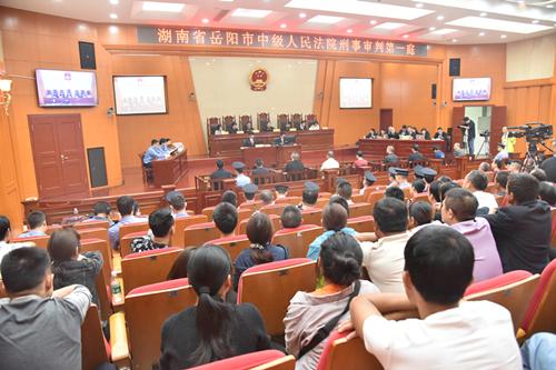 聶祖峰最新探索之旅，自然美景中的心靈尋覓與平和之境