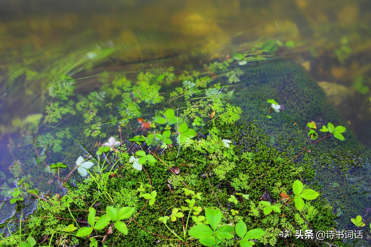 南山高樓崛起，背景、發(fā)展與時代地位全景解析